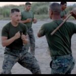 COMBATIVES, UNITED STATES OF AMERICA
