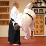 Daito-Ryu Jujutsu, Japanese Martial Art
