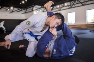 Logic Jiu Jitsu, Muay Thai, & Martial Arts